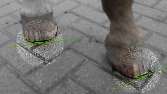 Analyse der Pferdehufe