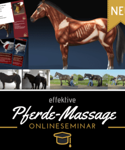 Pferde effektiv massieren - Online Seminar [Digital]
