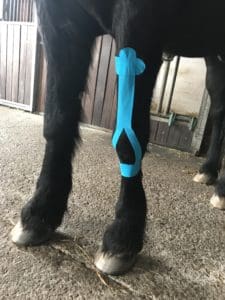 Kinesiotaping bei Arthrose bei Karpalgelenksarthrose beim Pferd