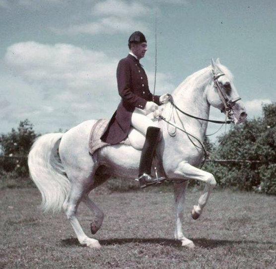 Der ehemalige Leiter der spanischen Hofreitschule Wien - Alois Podhaisky