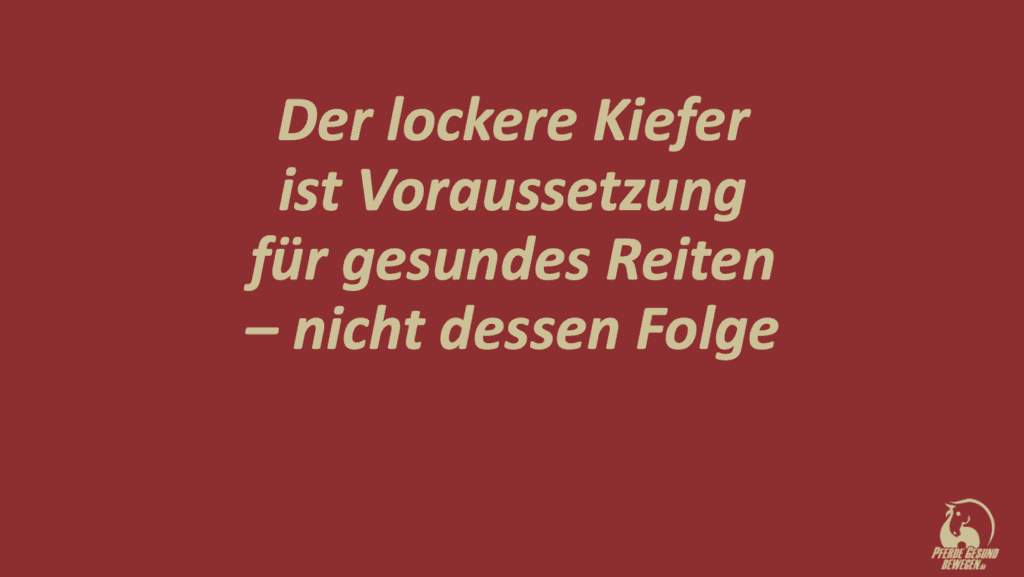 Der lockere Kiefer ist Voraussetzung für gessundes Reiten - nicht dessen Folge