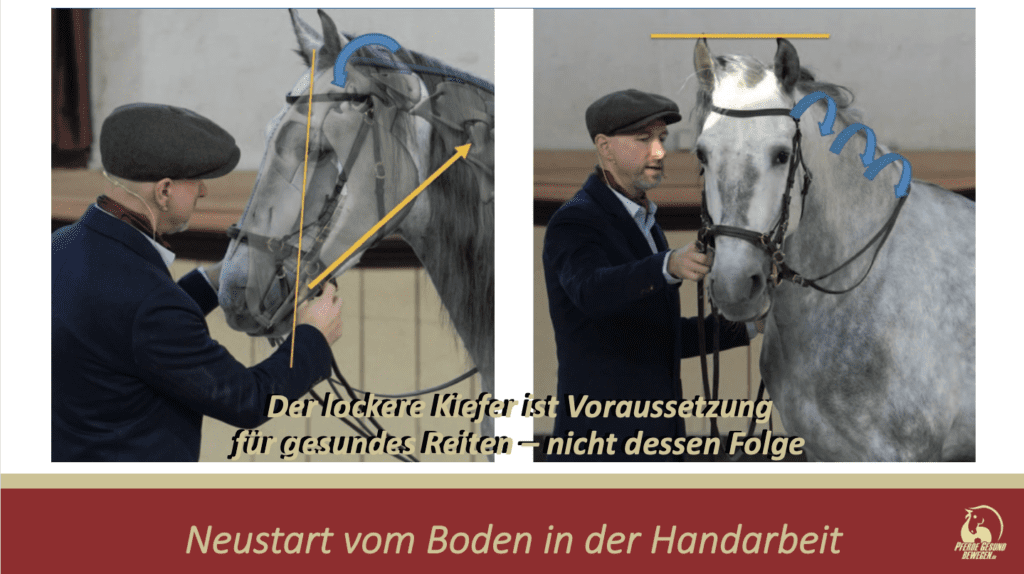 Abkau- und Abbiegeübungen helfen Blockaden im Bereich des Kiefergelenks zu vorzubeugen bzw. zu lösen
