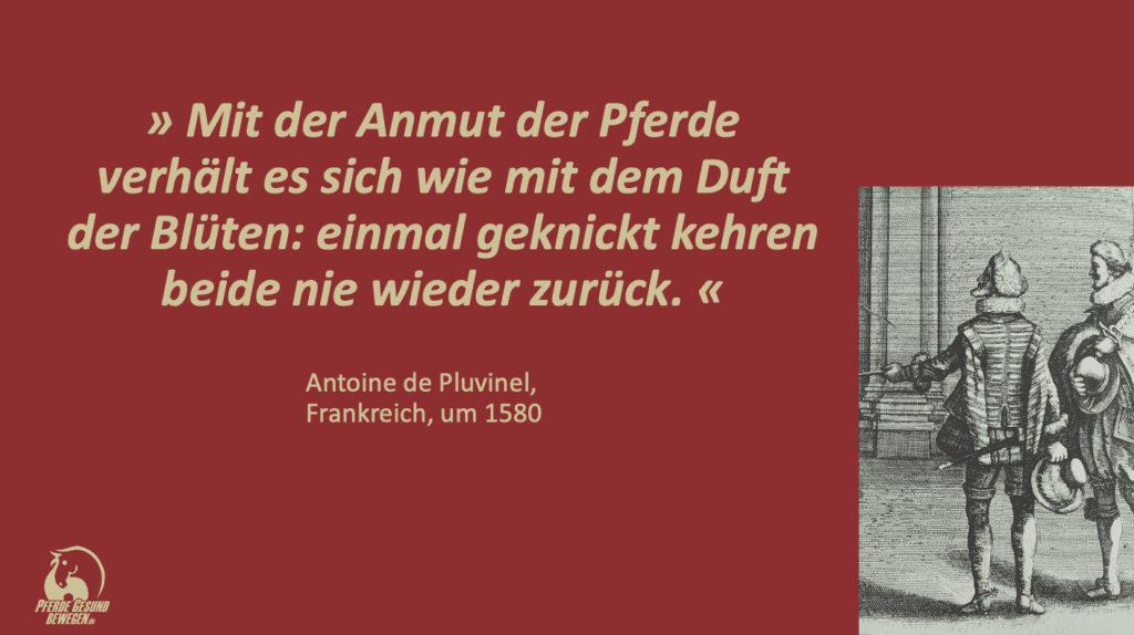 Schon die alten Meister wussten um das Wachstum des Pferde-Skeletts. Antoine de Pluvinel "Mit der Anmut der Pferde verhält es sich wie mit dem Duft der Blüten: einmal geknickt kehren beide nie zurück