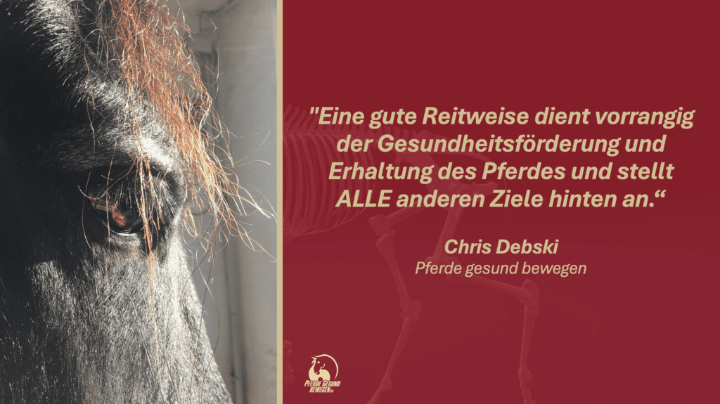 Eine gute Reitweise dient vorrangig der Gesundheitsförderung und Erhaltung des Pferdes und stellt alle anderen Ziele hinten an.