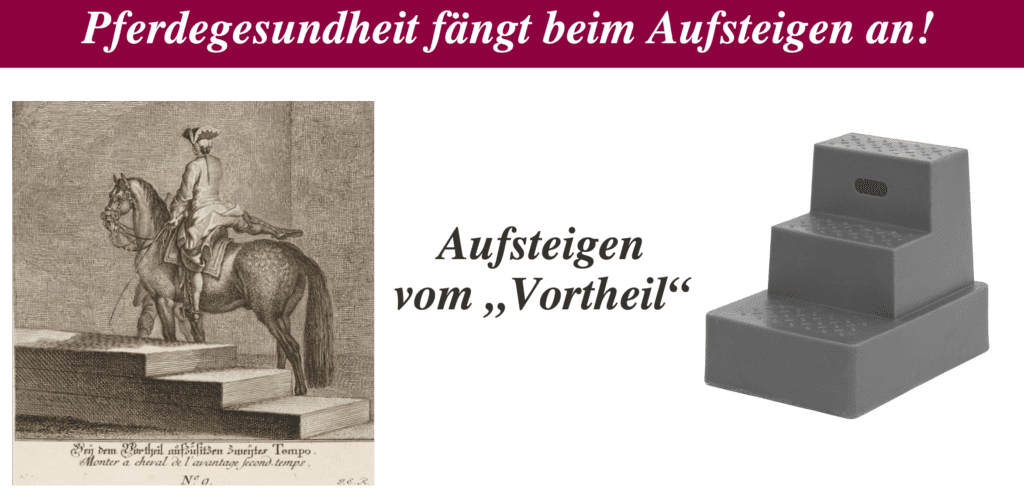 Aufsteigen von einer geeigneten Aufstiegshilfe: Das Aufsteigen in den Sattel vom Boden belastet den Pferderücken bereits vor dem Reiten extrem einseitig, führt zu Verspannungen, Abwehrverhalten und fördert auch eine Schiefe und Händigkeit des Pferdes.