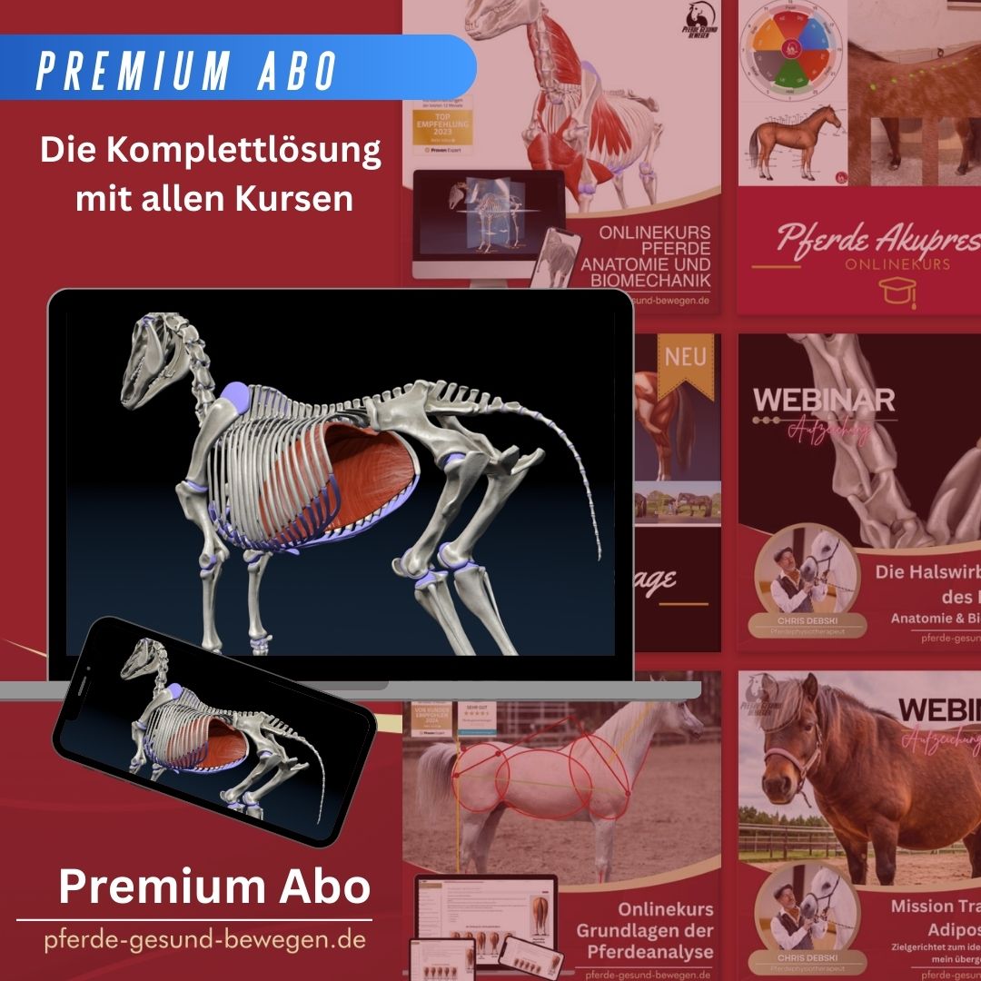 Premium-Abo – Bild 2