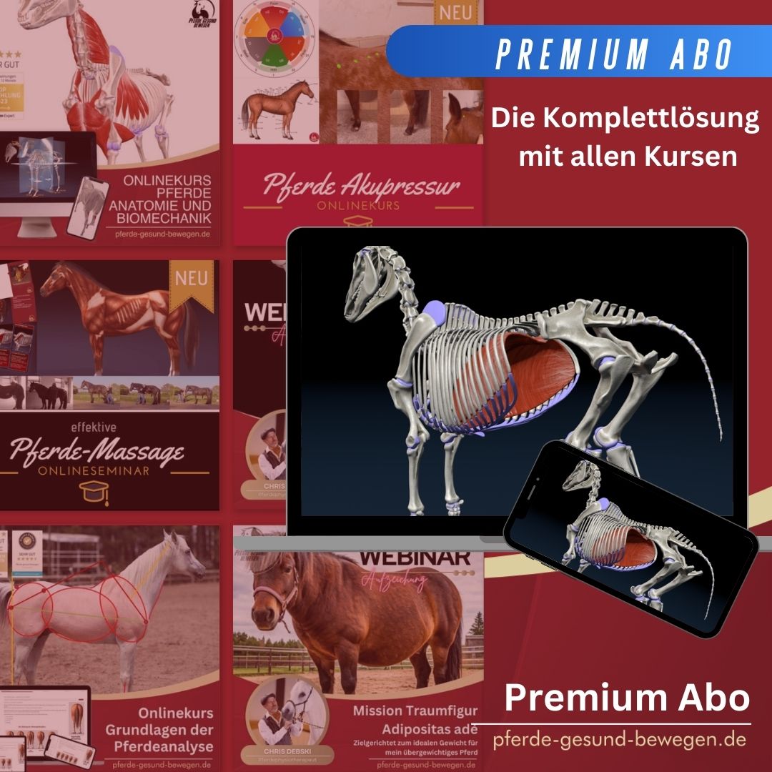 Premium-Abo – Bild 3