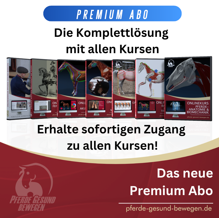 Premium-Abo