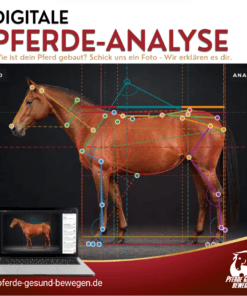 Digitale Pferdeanalyse [Digital]